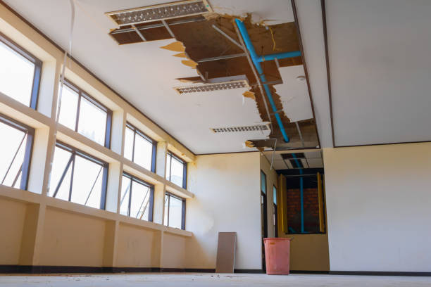 Best Water damage restoration cost  in Pembroke, VA
