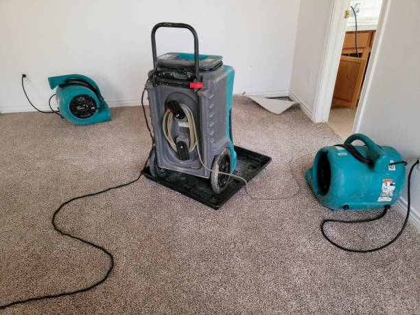 Best Mold removal after water damage  in Pembroke, VA