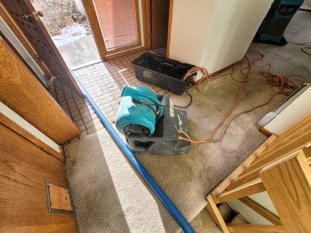 Best Water damage restoration specialists  in Pembroke, VA