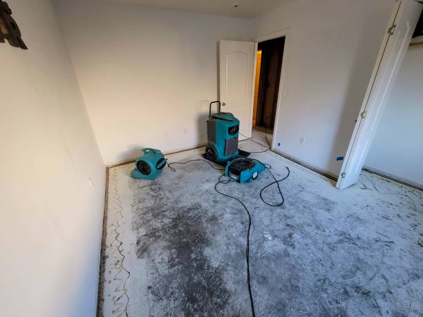 Best Water damage contractors near me  in Pembroke, VA