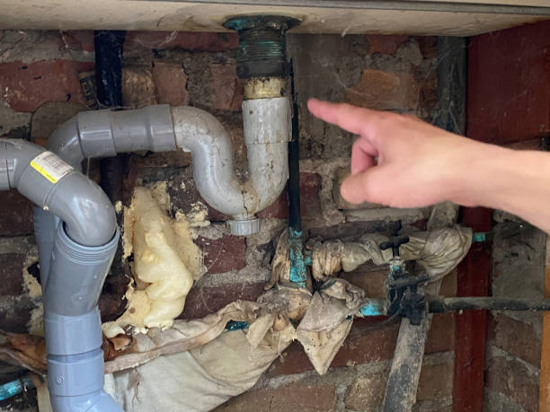 Best Basement water damage restoration  in Pembroke, VA