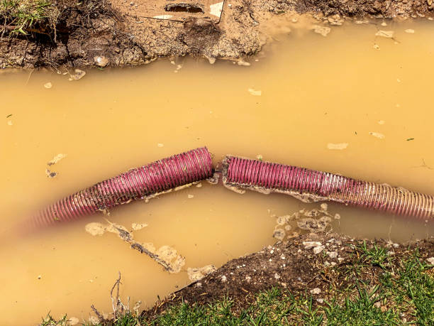 Best Water damage restoration near me  in Pembroke, VA