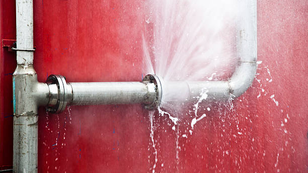 Best Local water damage restoration  in Pembroke, VA