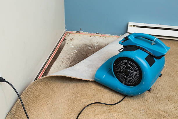 Best Water damage cleanup near me  in Pembroke, VA